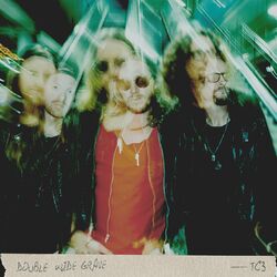 Cover of Double Wide Grave