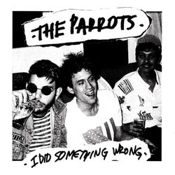 Cover of I Did Something Wrong