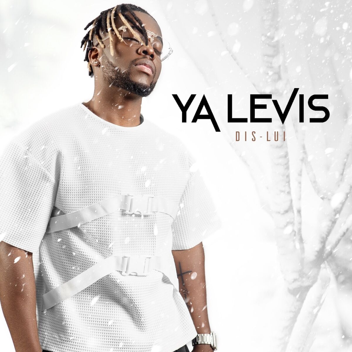 Album cover of Dis lui