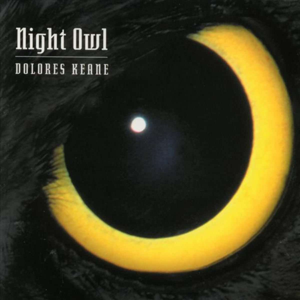 Album cover of Night Owl