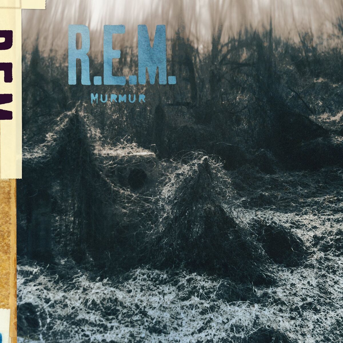 Album cover of Radio Free Europe