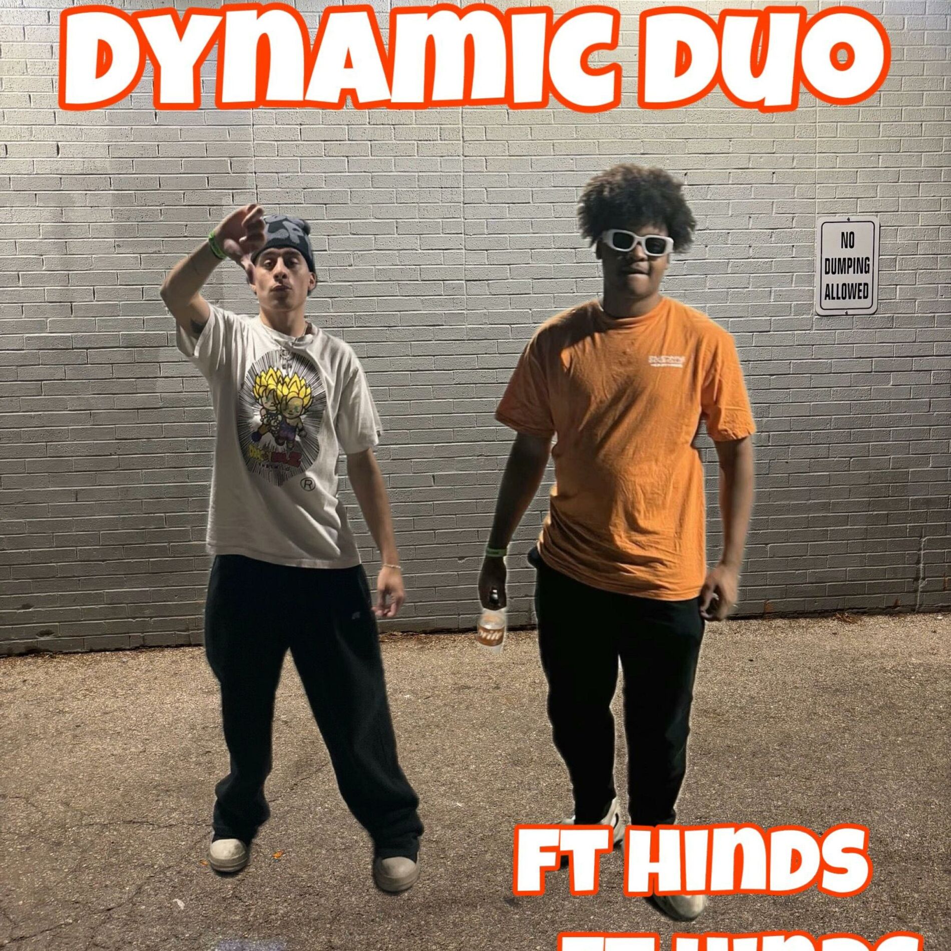 Album cover of dynamic duo (feat. Hinds)