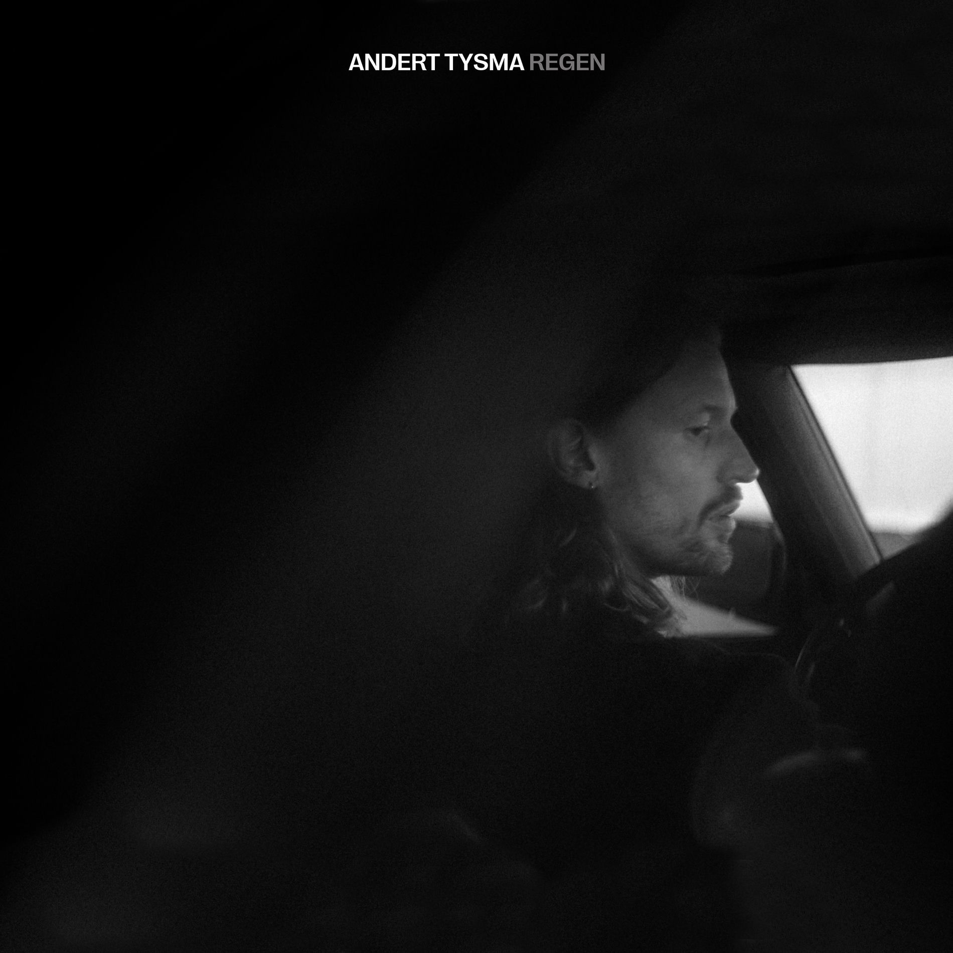 Album cover of Regen