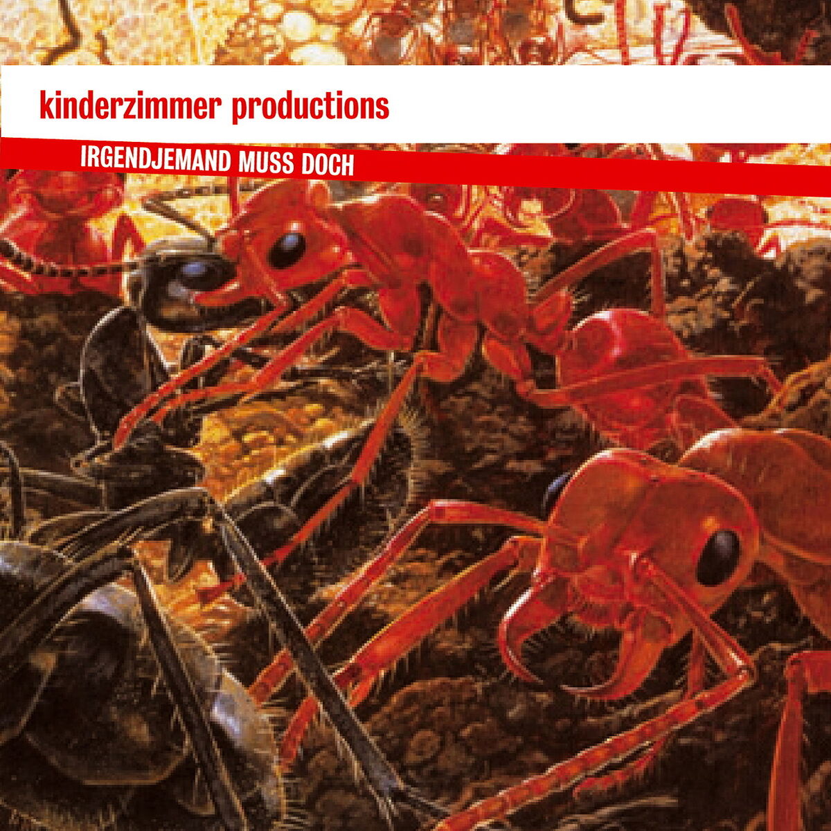 Album cover of Irgendjemand muss doch
