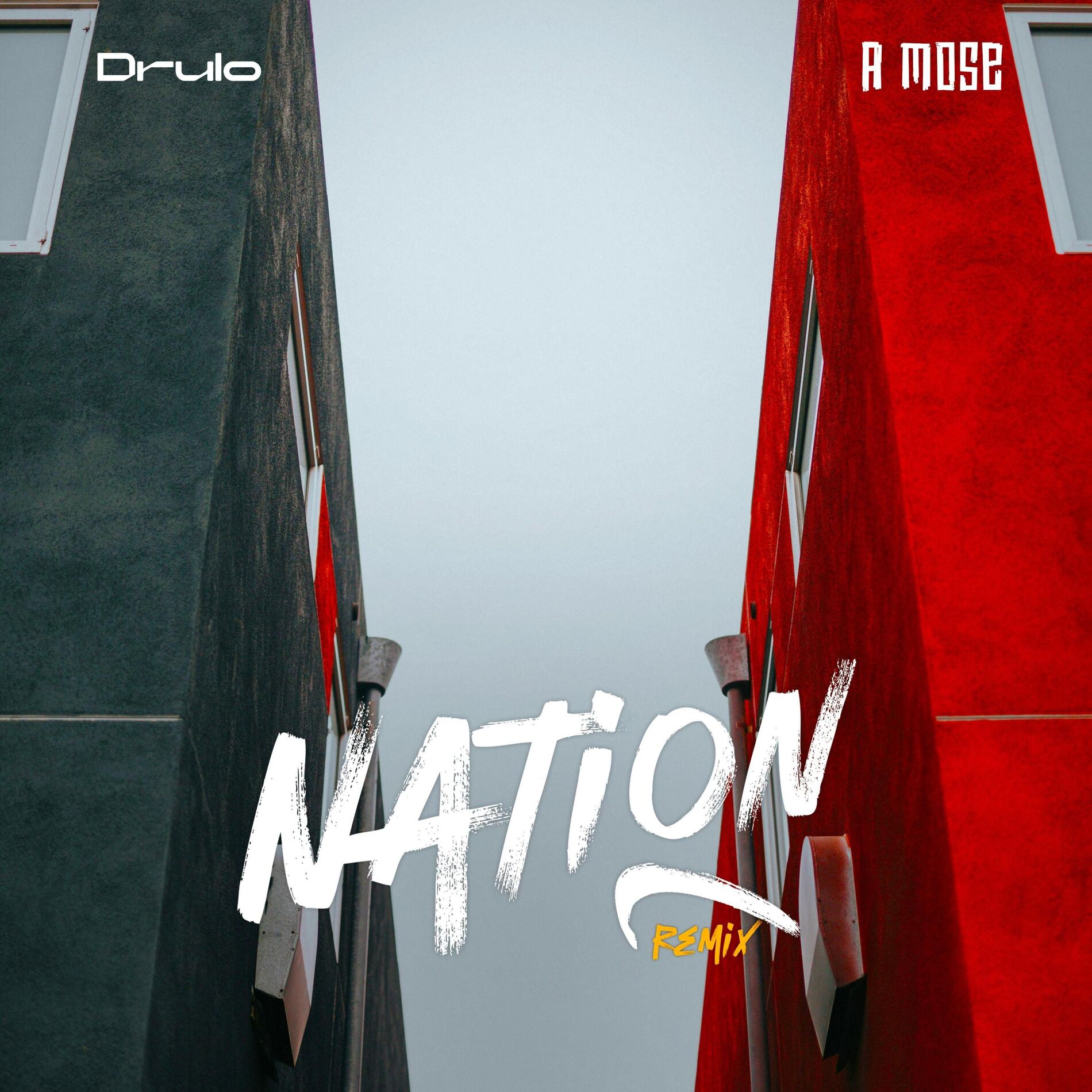 Album cover of Nation (Miel Version)
