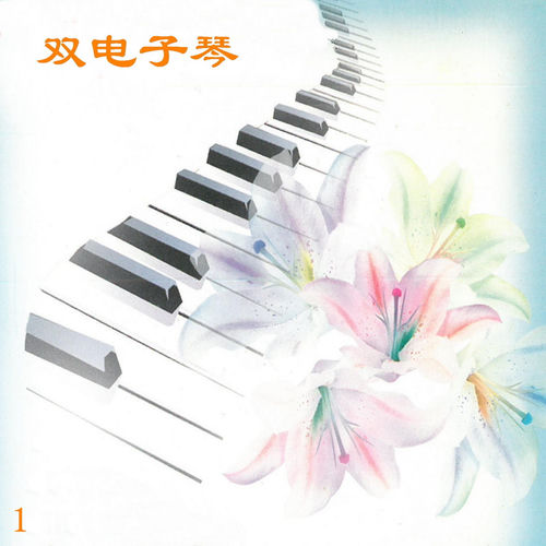 双电子琴 1