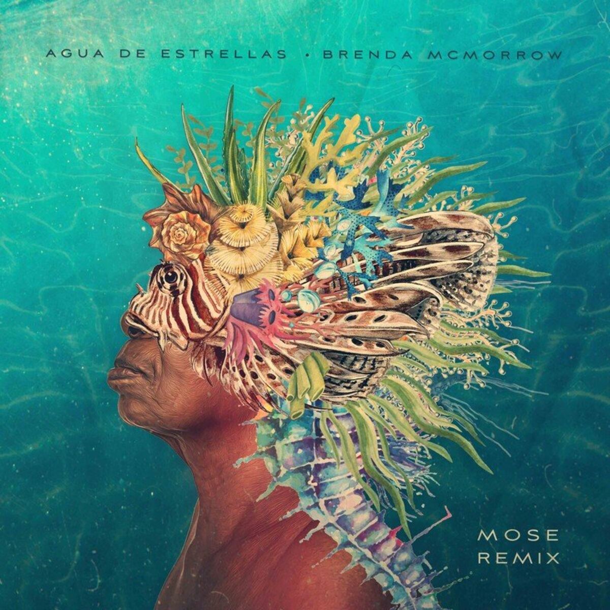 Album cover of Agua De Estrellas