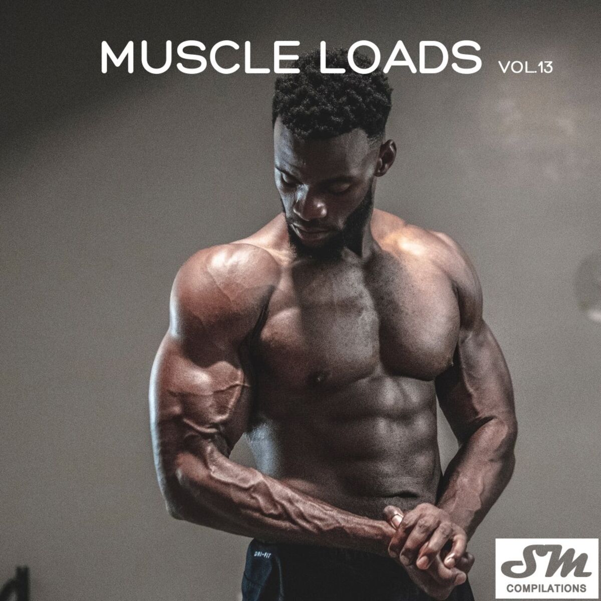 Album cover of Muscle Loads, Vol. 13