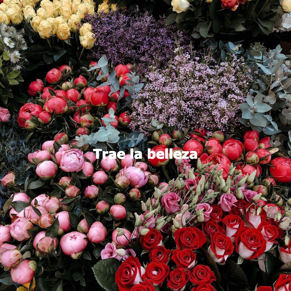 Picture of Trae la belleza