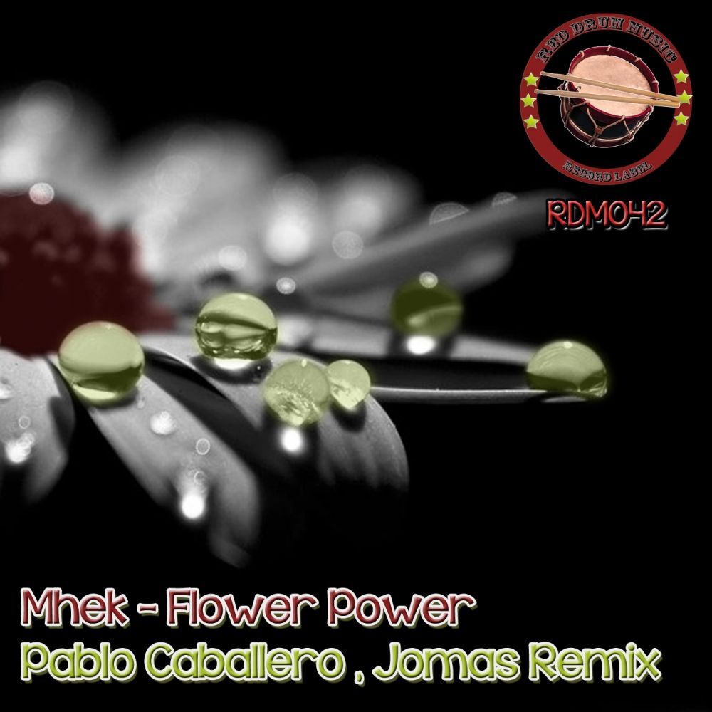 Picture of Flower Power