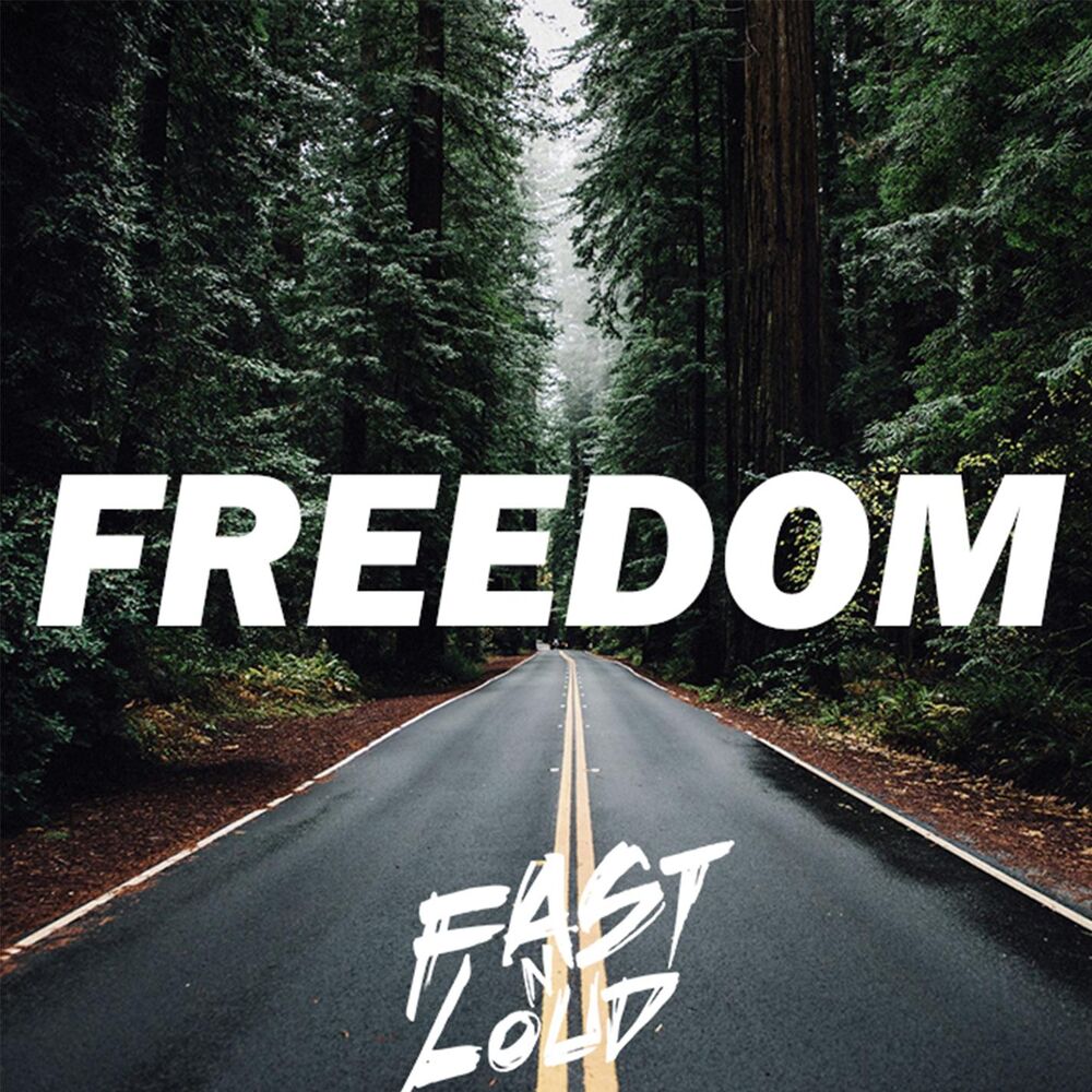 Picture of Freedom