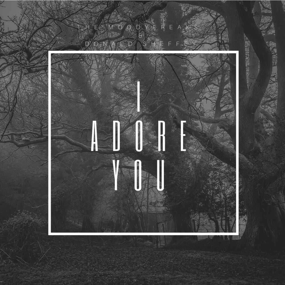 Picture of I Adore You