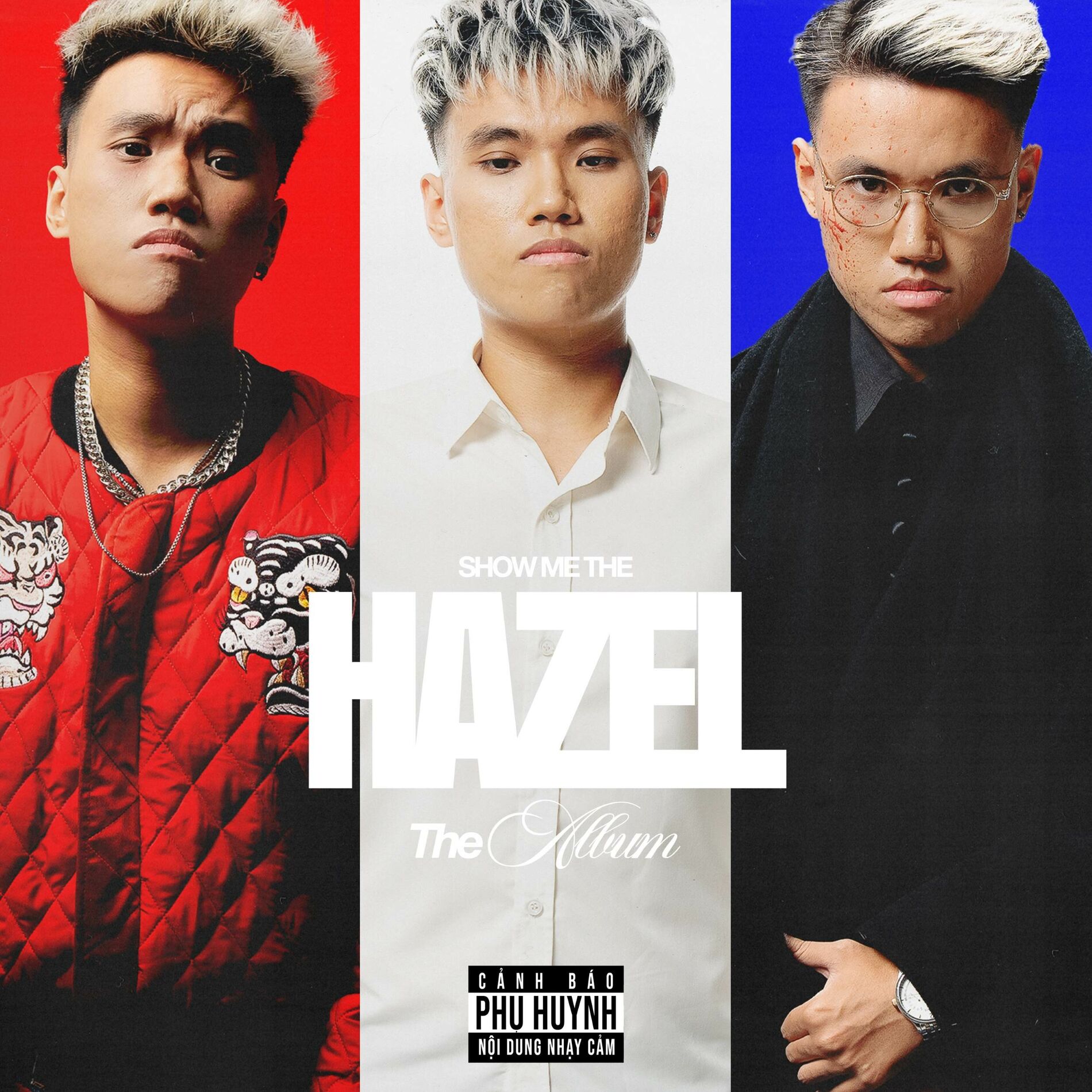 Album cover of SHOW ME THE HAZEL