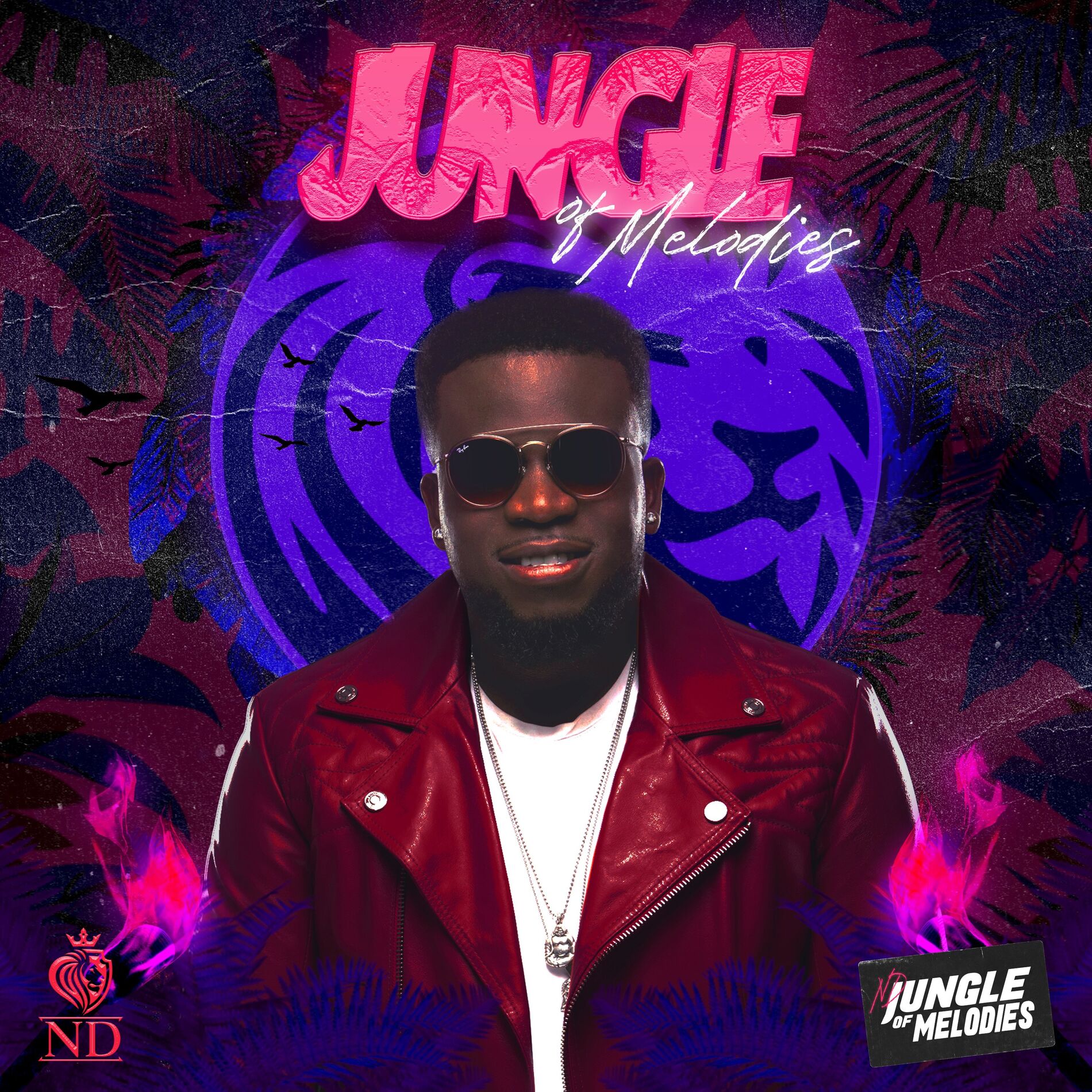 Album cover of Jungle Of Melodies