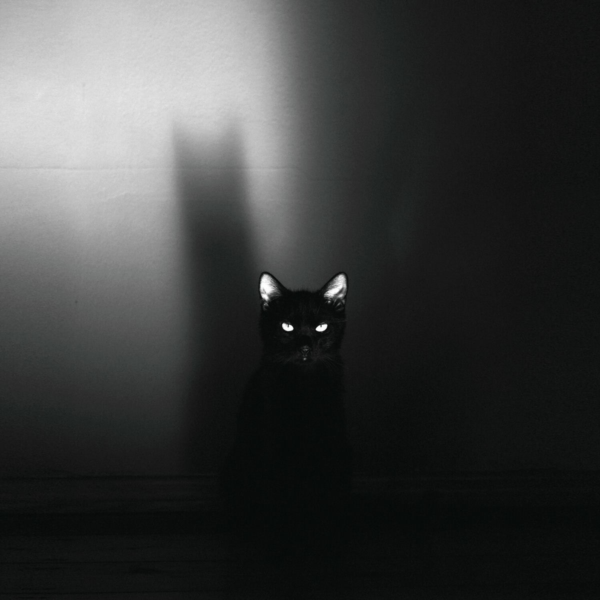 Album cover of My Little One