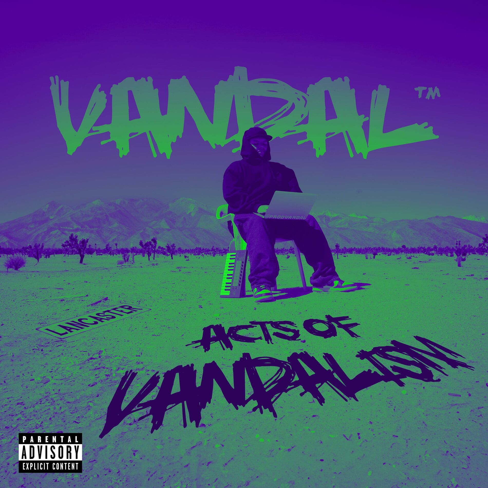 Album cover of Acts of Vandalism