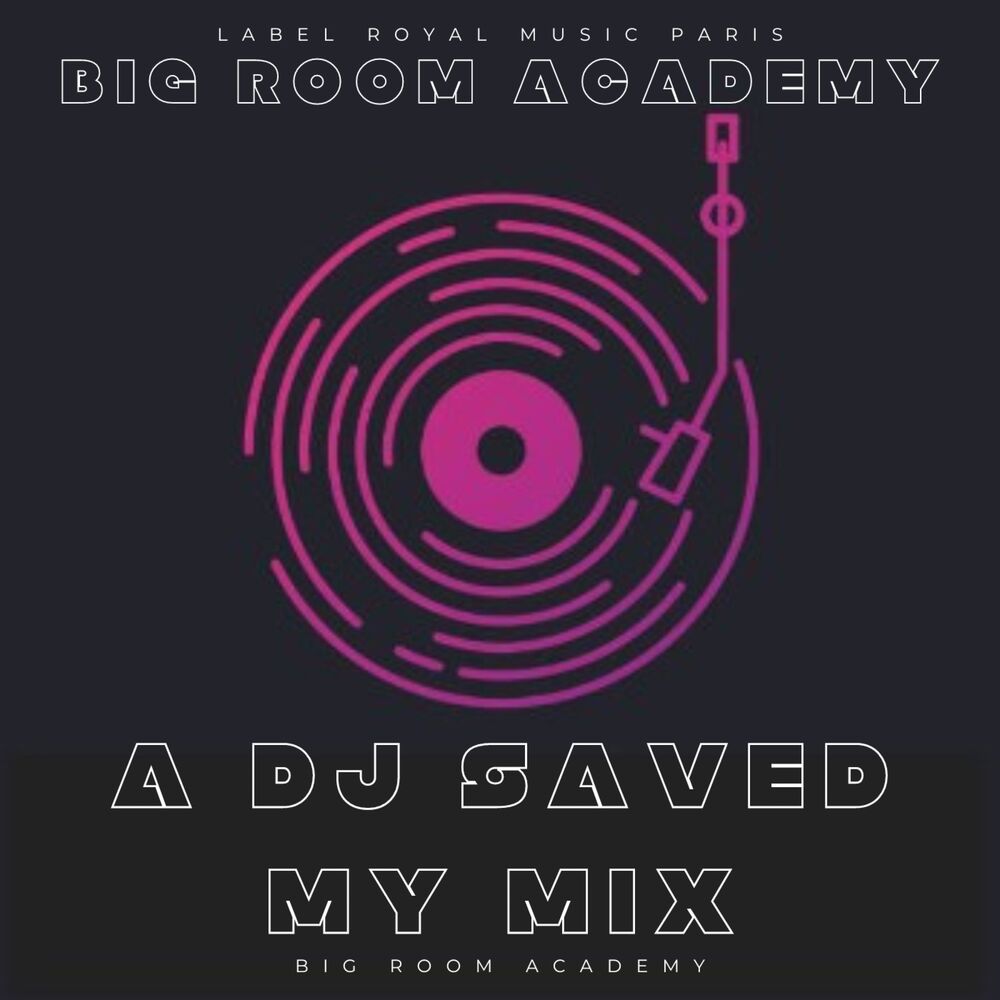 Picture of A DJ Saved My Mix