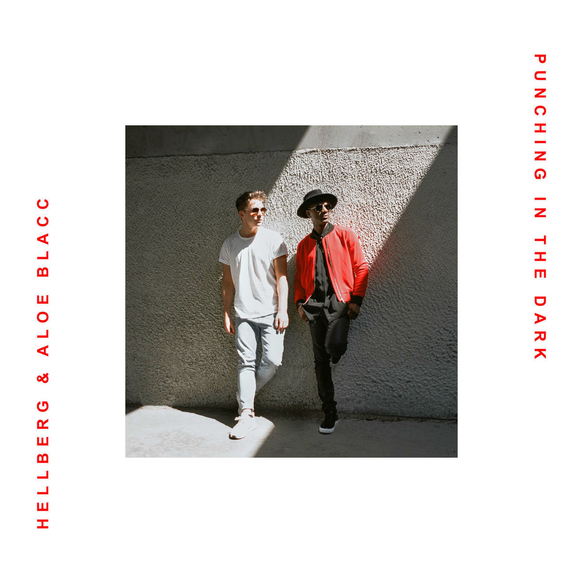 Album cover of Punching in the Dark