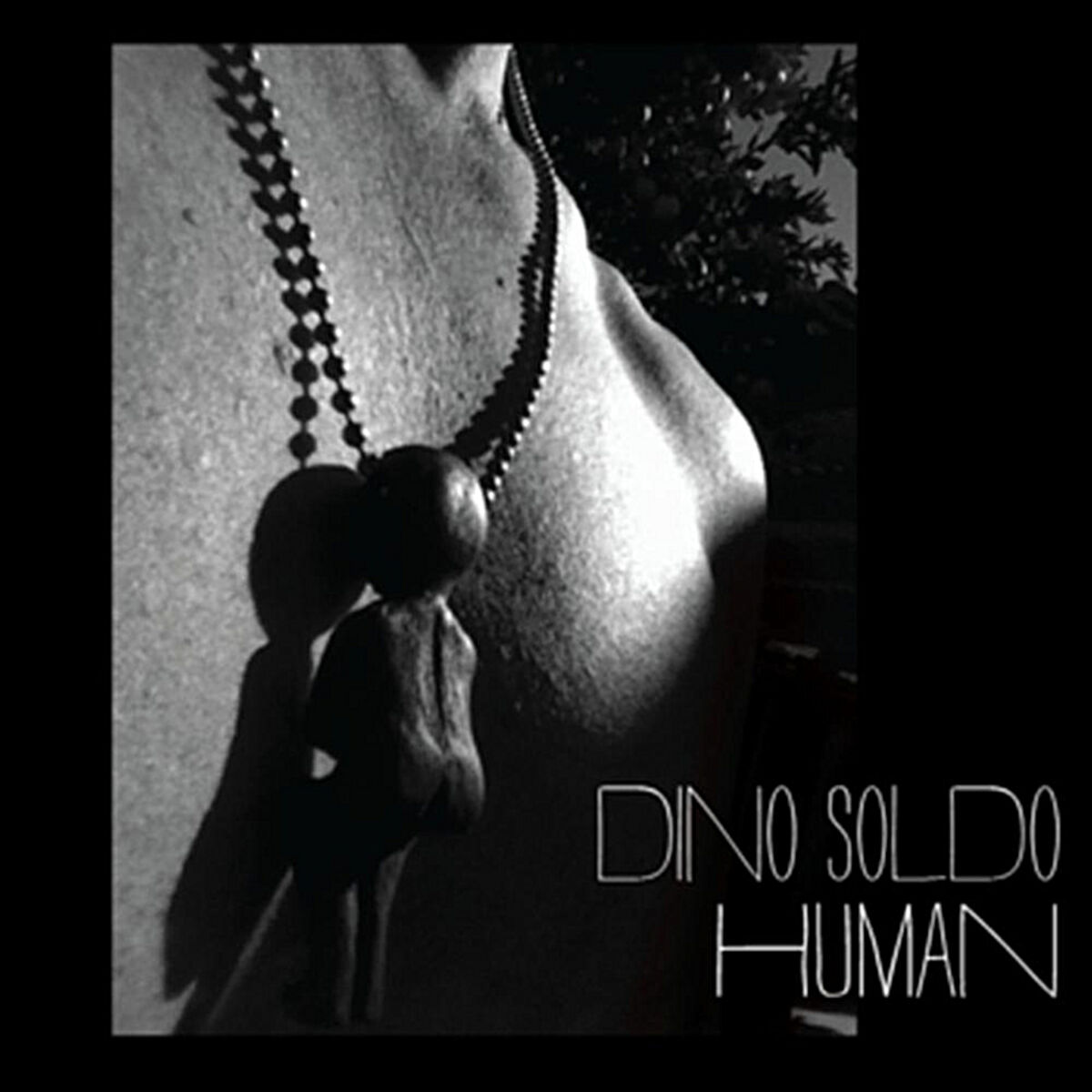 Album cover of Human