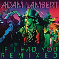 Cover of If I Had You Remixed