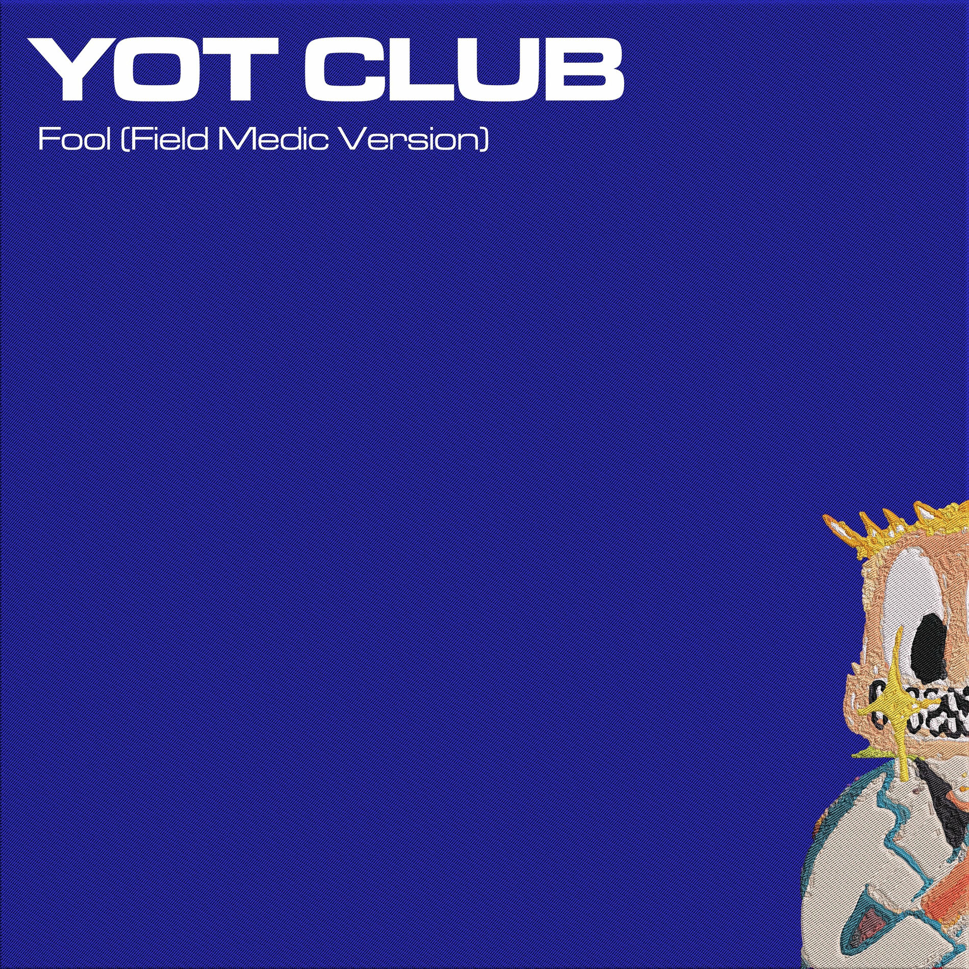Album cover of Fool (Field Medic Version)