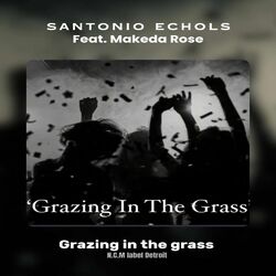 Cover of Grazing in the Grass
