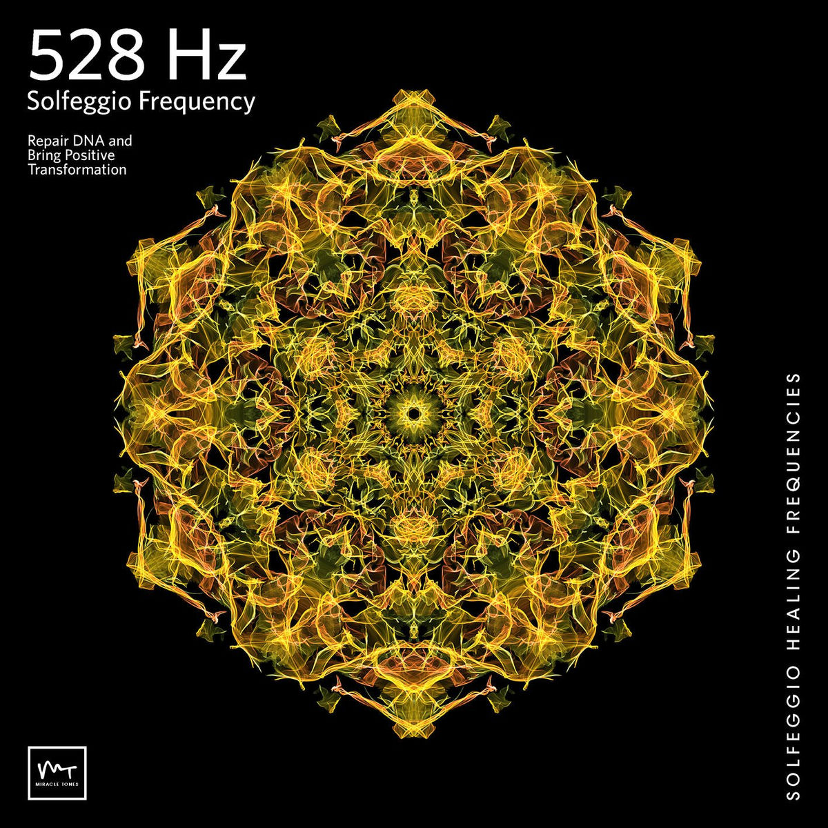 Album picture of 528 Hz Transformation and Miracles (DNA Repair)