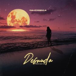 Cover of Desnuda