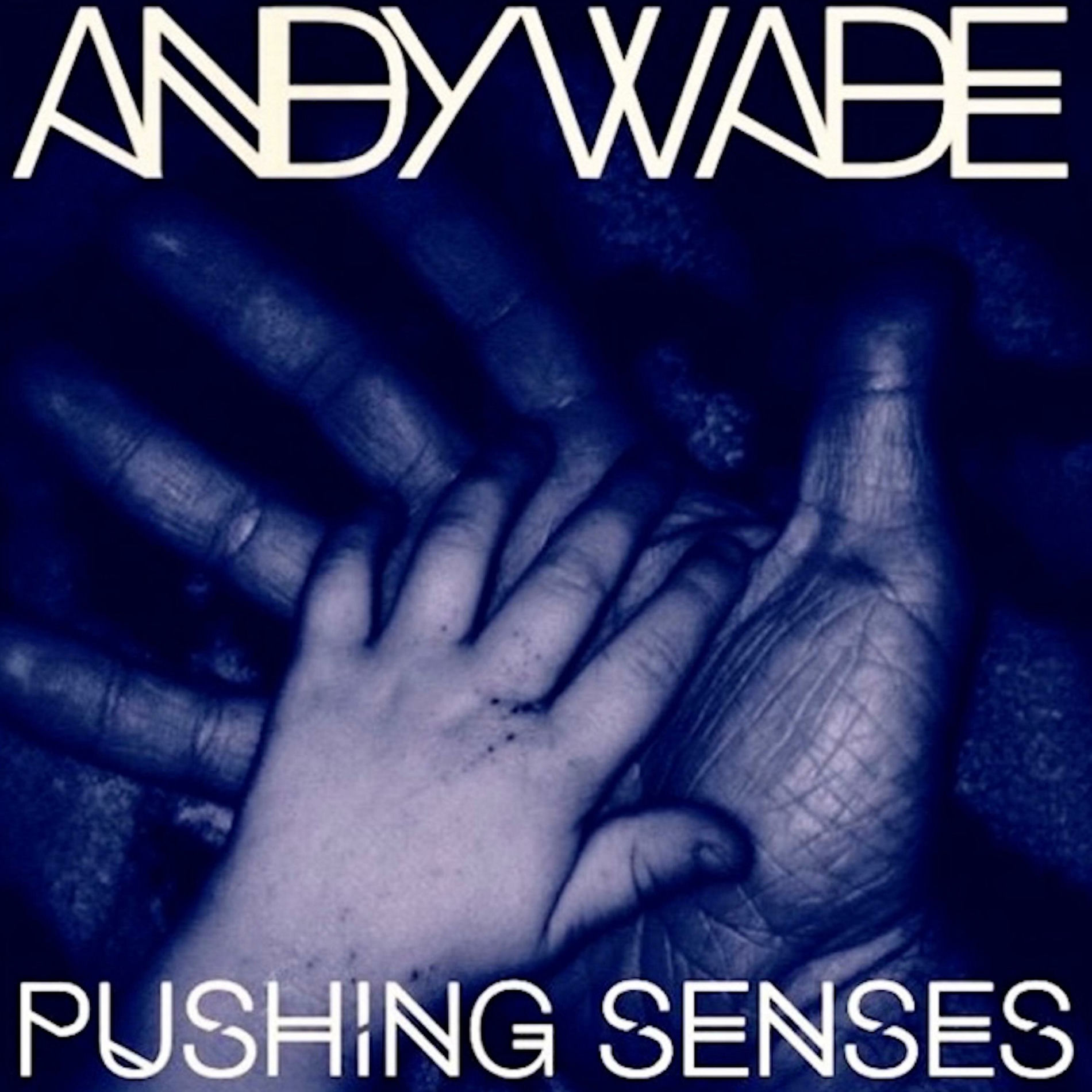 Album cover of Pushing senses