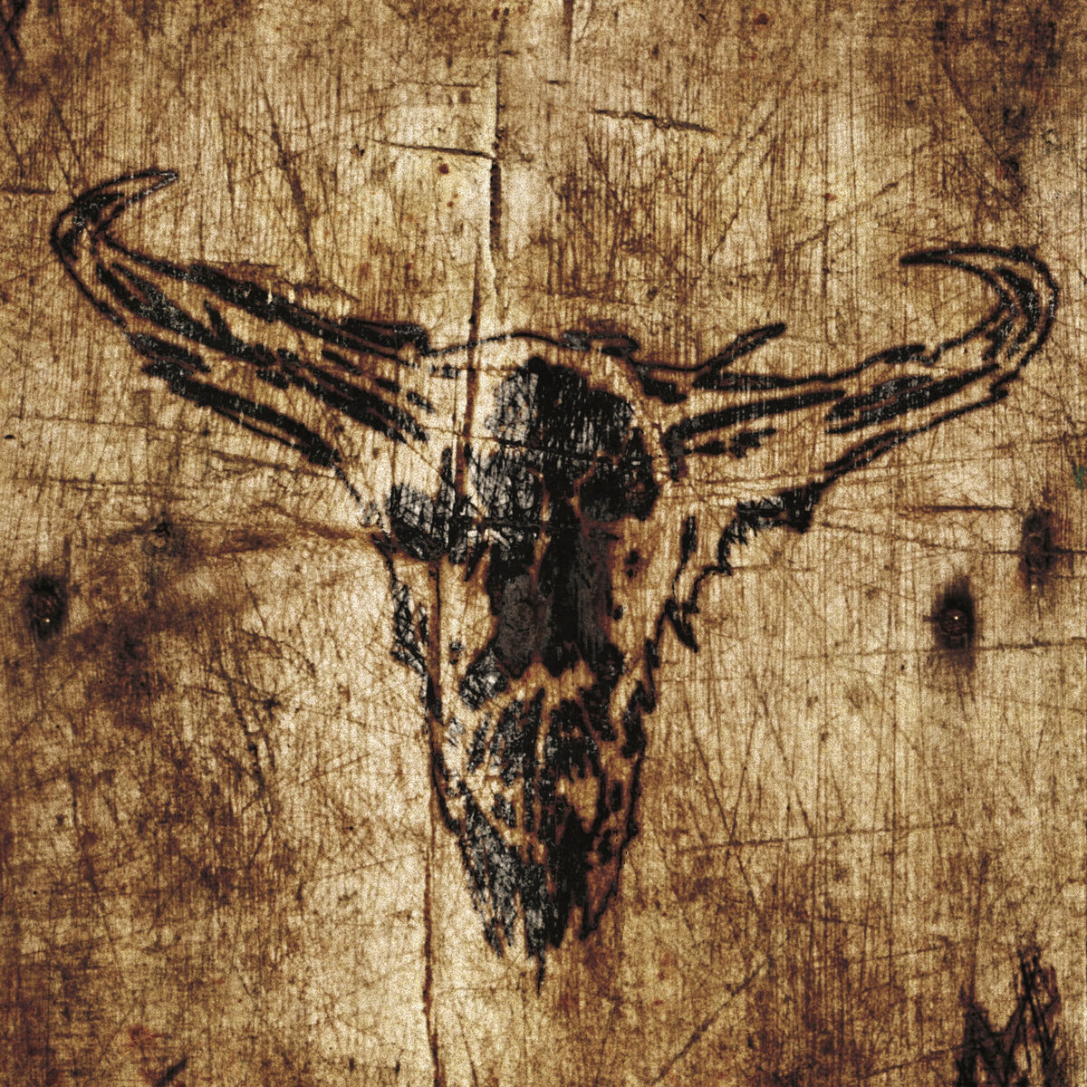 Album cover of Southern Hostility
