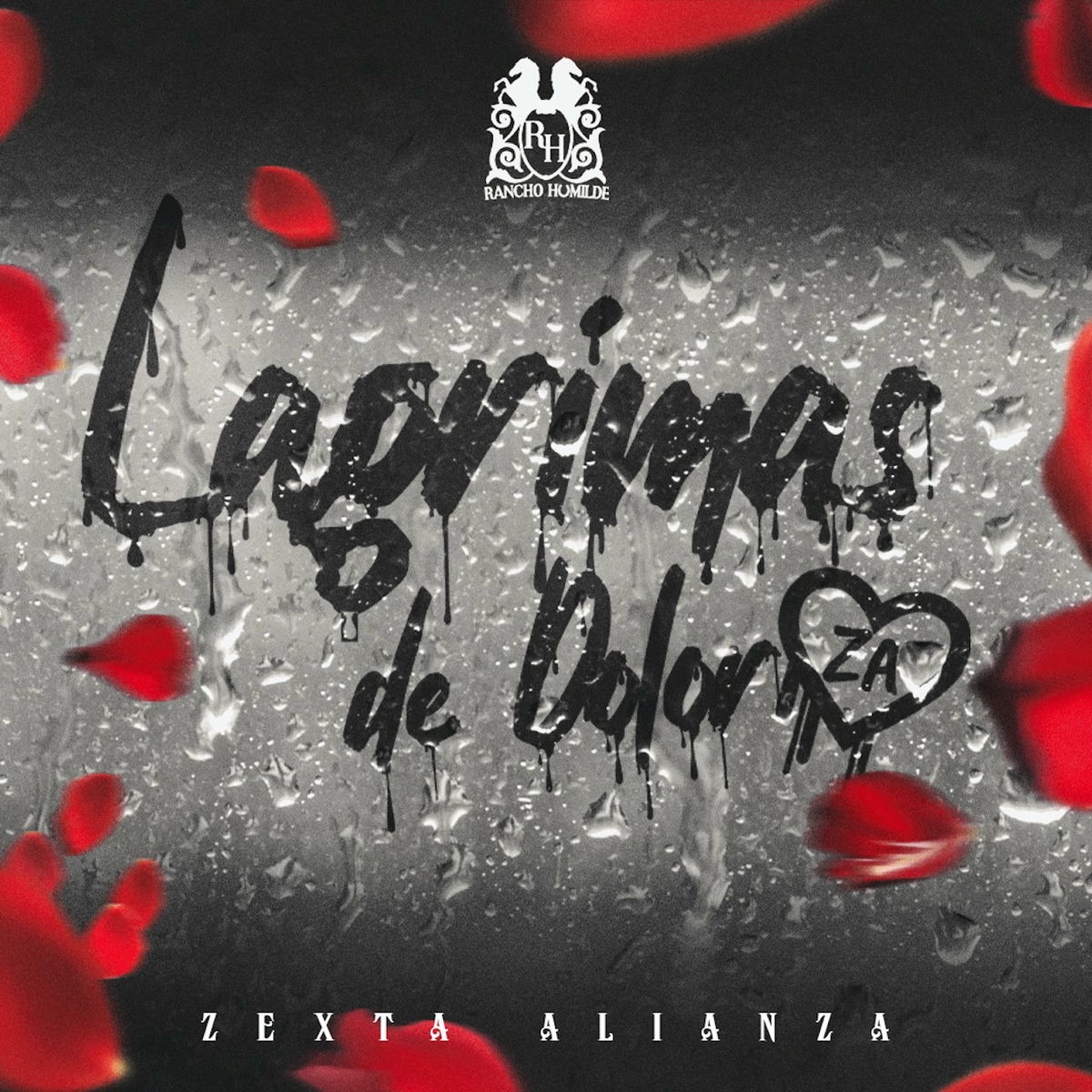Album cover of Lágrimas De Dolor