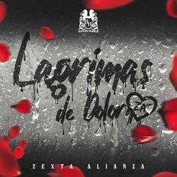 Cover of Lágrimas De Dolor