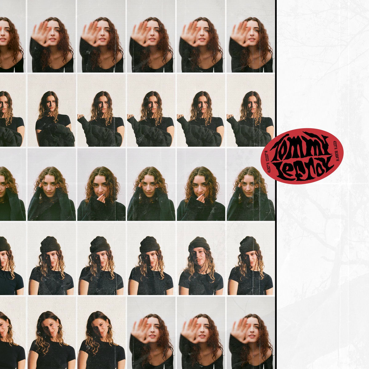 Album cover of Northern Towns