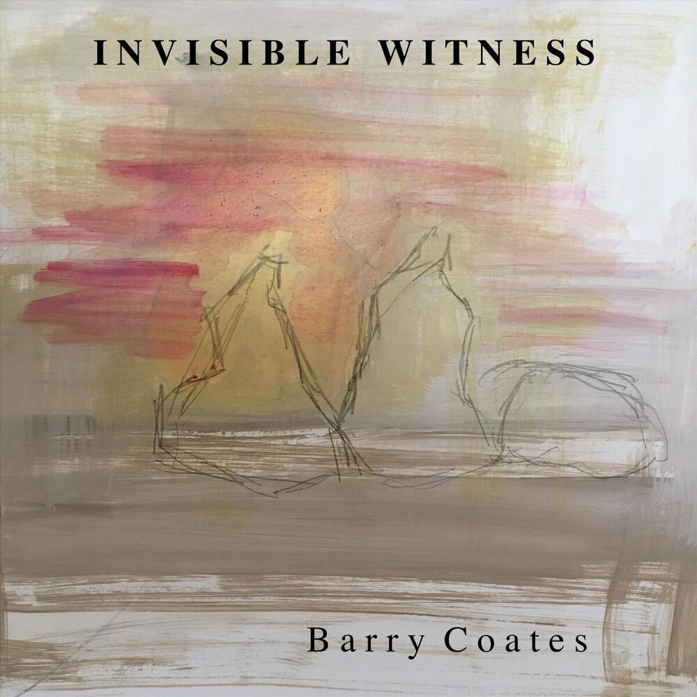 Picture of Invisible Witness