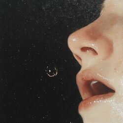 Cover of In the Void