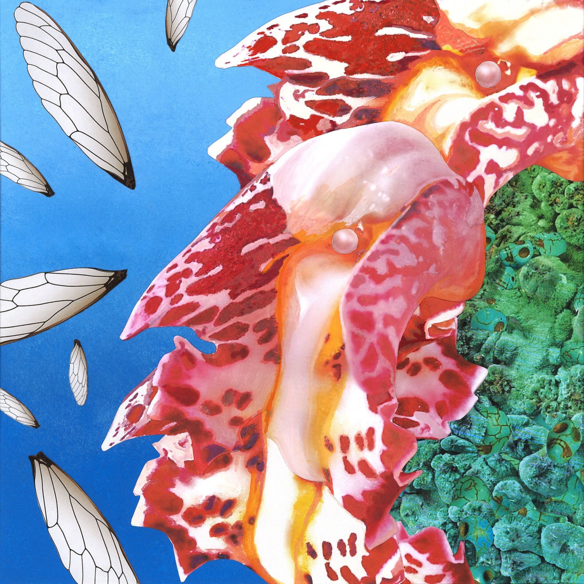 Album cover of Touche
