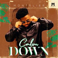 Cover of Calm Down (Cover)