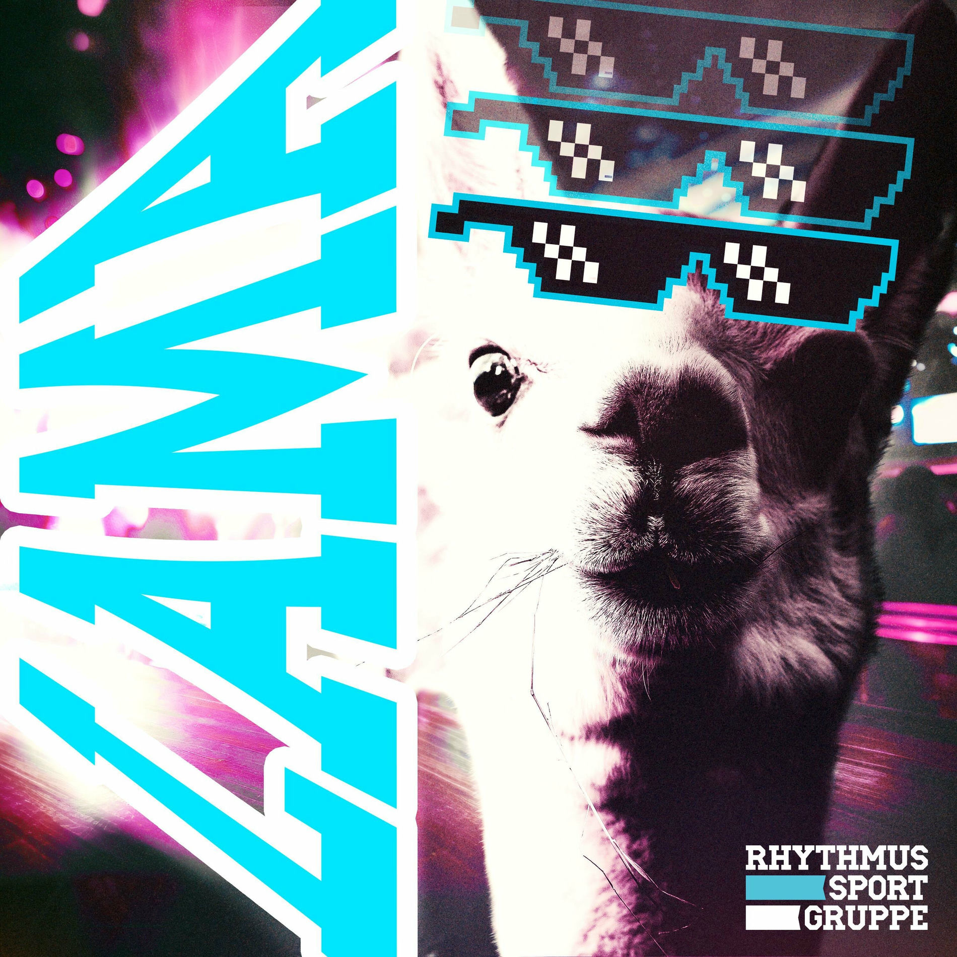 Album cover of Lama