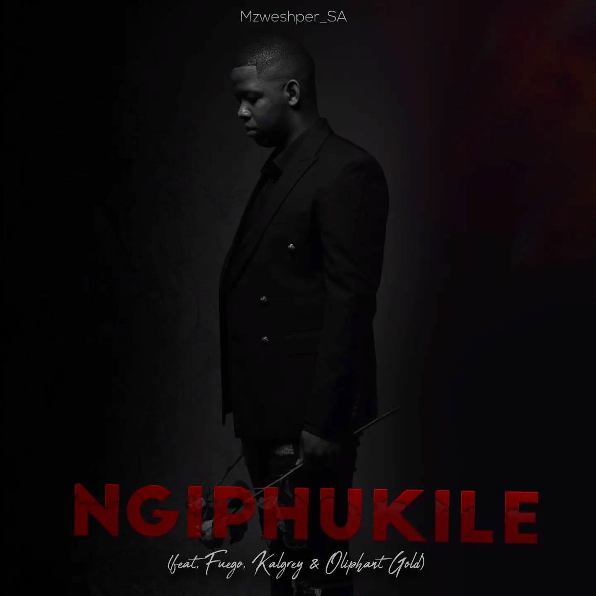 Album cover of Ngiphukile
