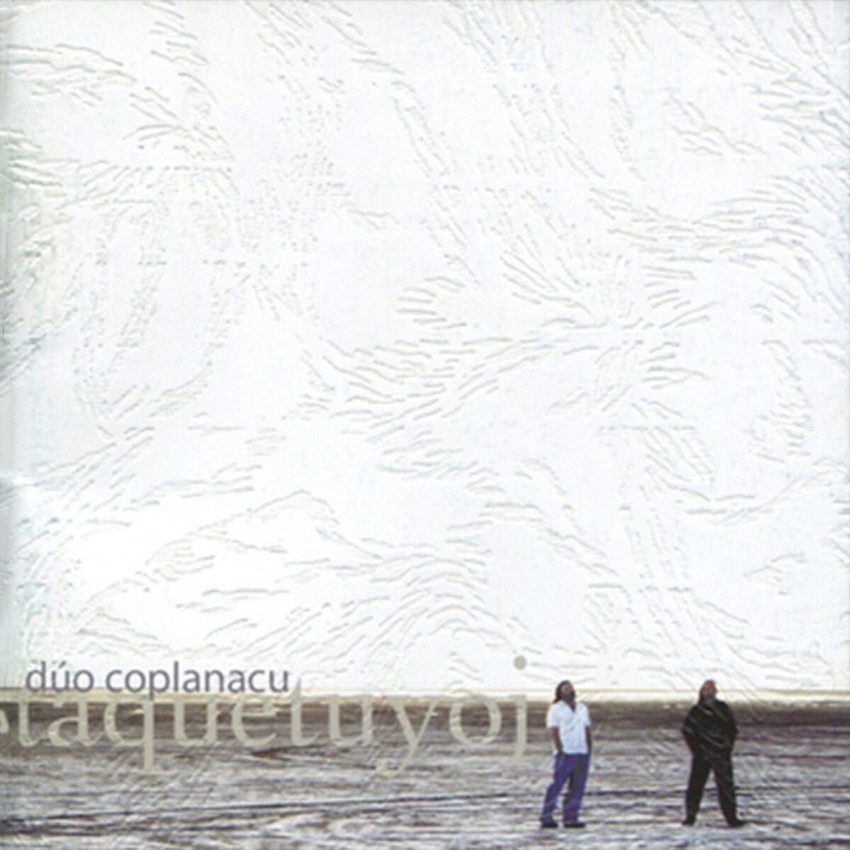Album cover of Velay No Se
