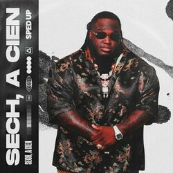 Cover of Sech (Sped Up)