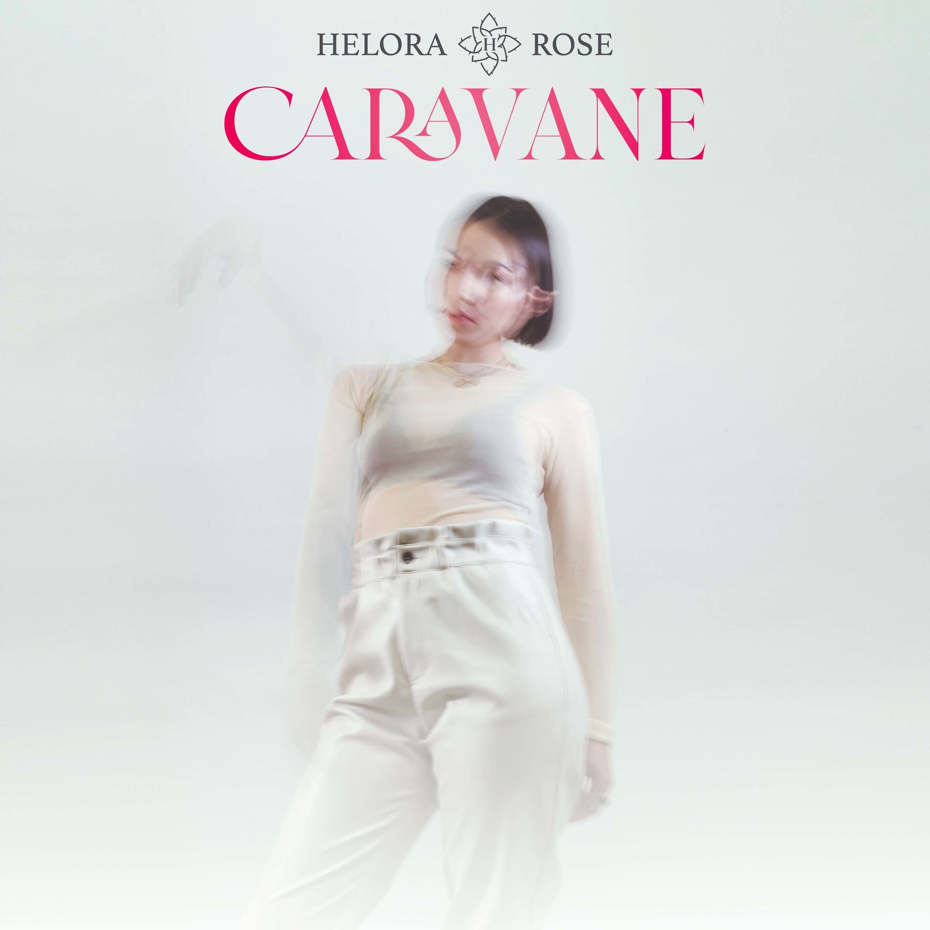 Album cover of Caravane