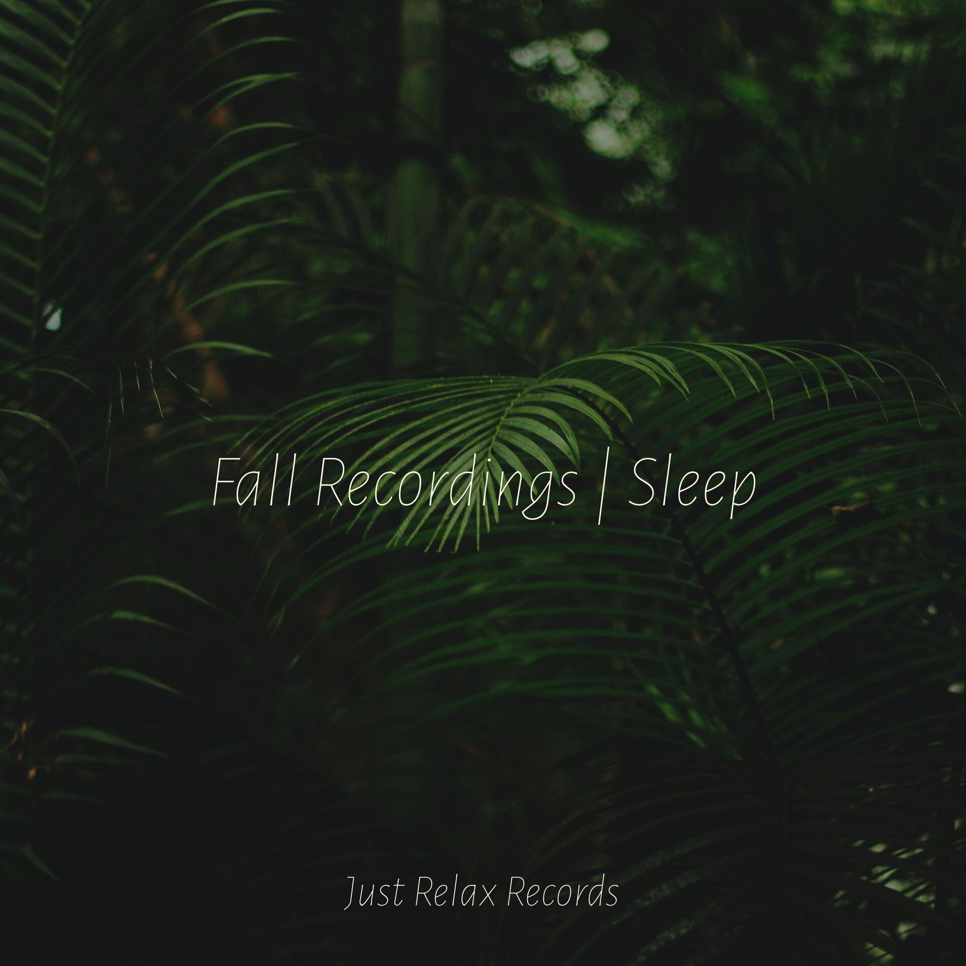 Album cover of Fall Recordings | Sleep