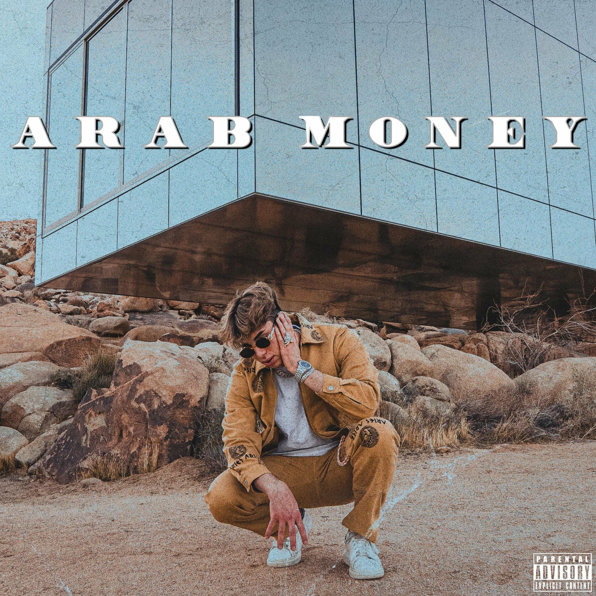 Album cover of Arab Money