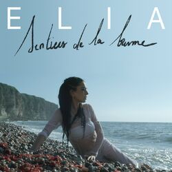 Cover of Sentiers de la brume