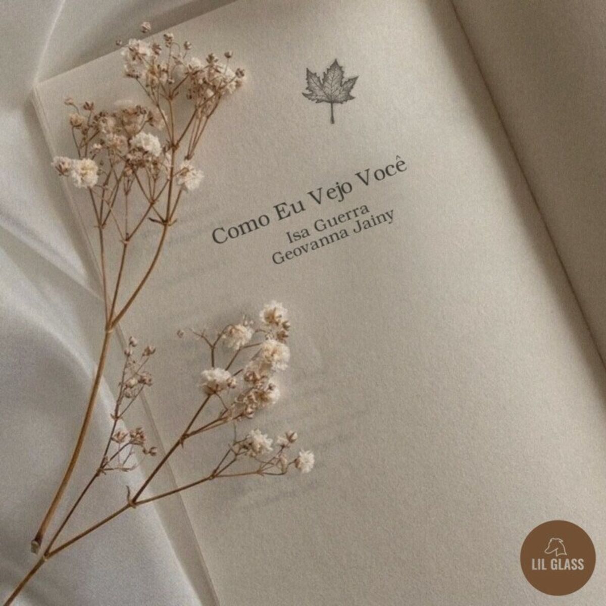Album cover of Como Eu Vejo Você