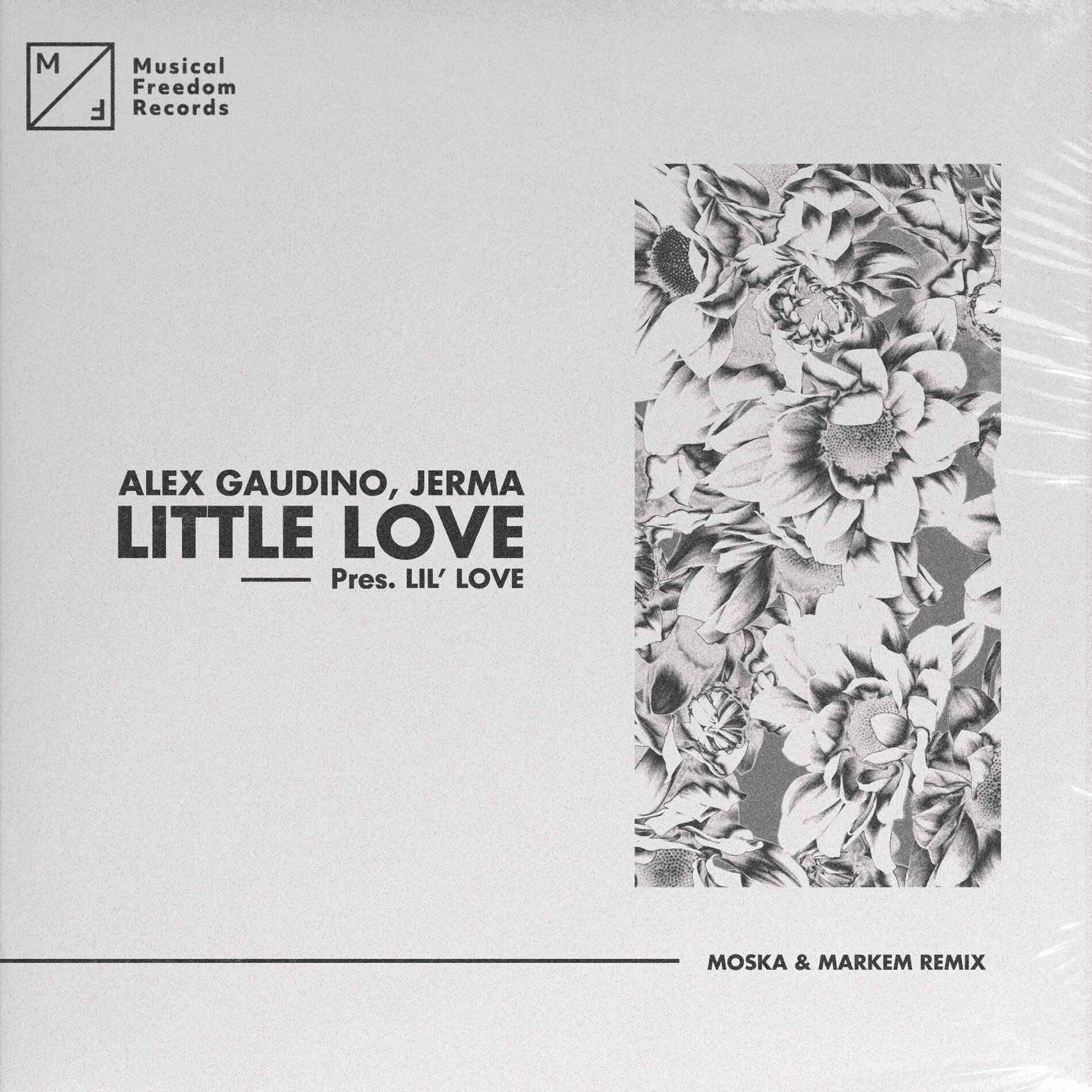 Album cover of Little Love (pres. Lil' Love)