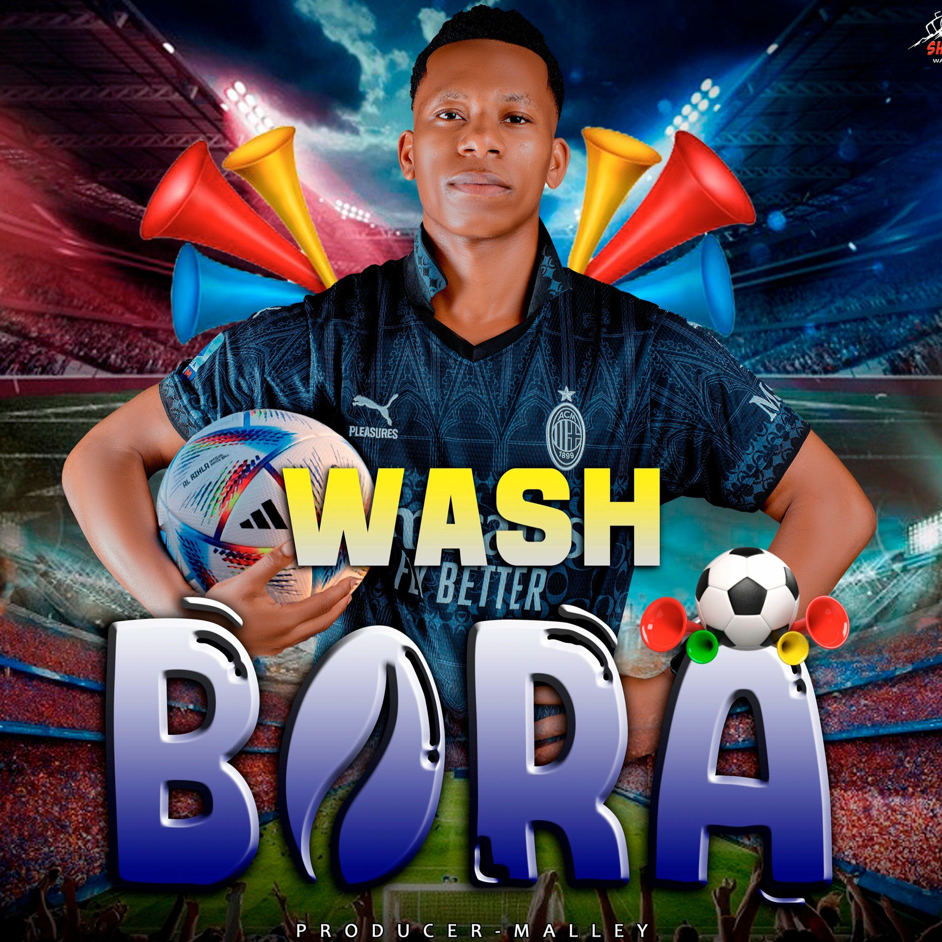 Album cover of Bora