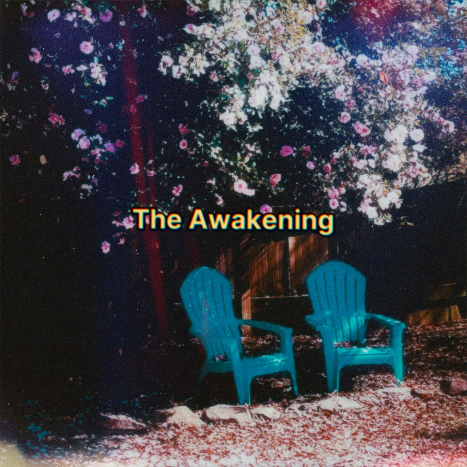 Album cover of The Awakening