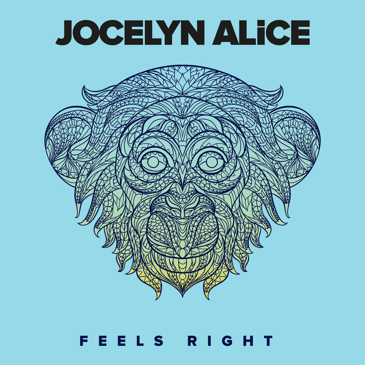 Album cover of Feels Right